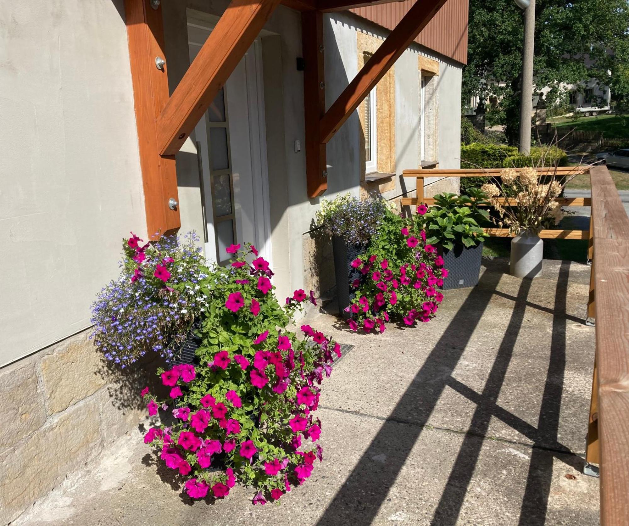 Ferienwohnung "Am Kirchsteig" Kurort Gohrisch Esterno foto